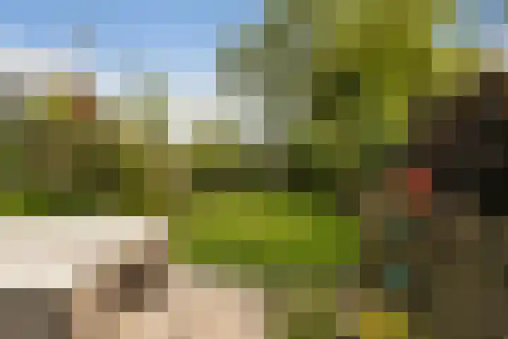 Jakob de Graafstraat 40 Kollumerpomp thumbnail 33