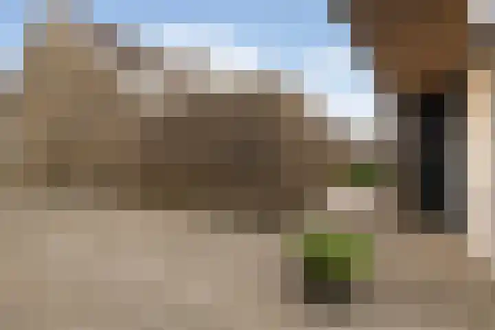 Jakob de Graafstraat 40 Kollumerpomp thumbnail 37