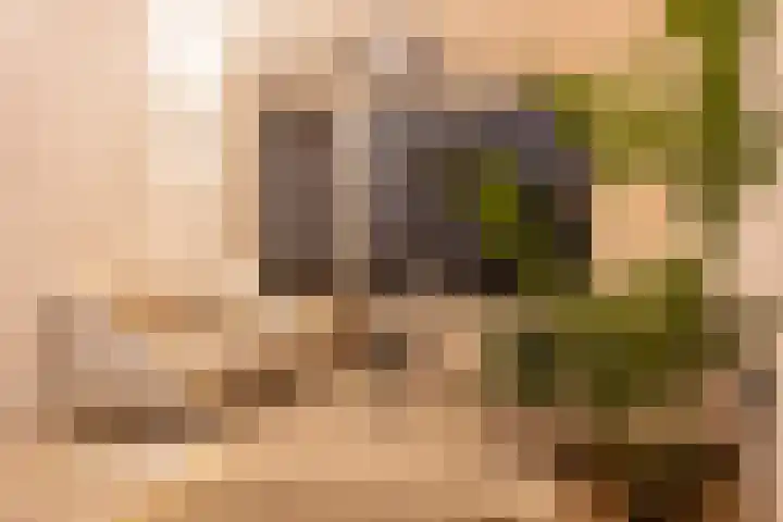 Jakob Grimmstraat 14 Utrecht thumbnail 10