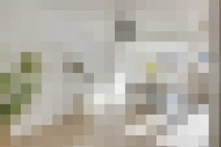 Jakob Grimmstraat 14 Utrecht thumbnail 14