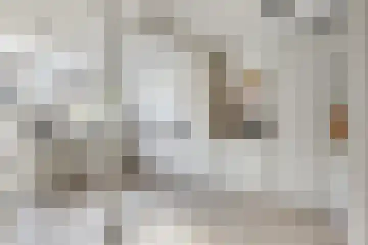 Jakob Grimmstraat 14 Utrecht thumbnail 17