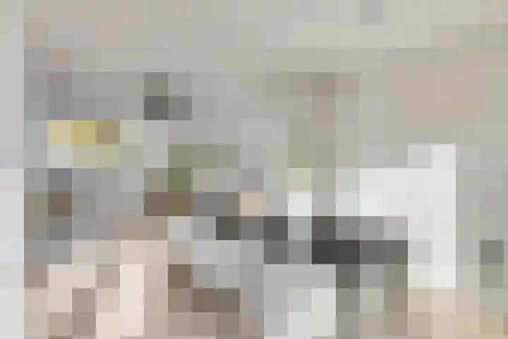 Jakob Grimmstraat 14 Utrecht thumbnail 26