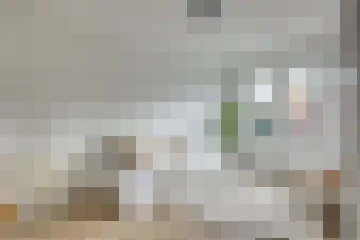 Jakob Grimmstraat 14 Utrecht thumbnail 33