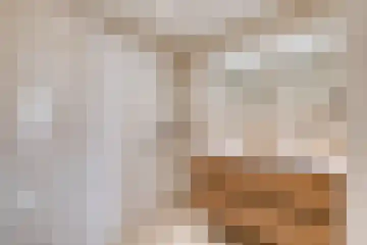 Jakob Grimmstraat 14 Utrecht thumbnail 38