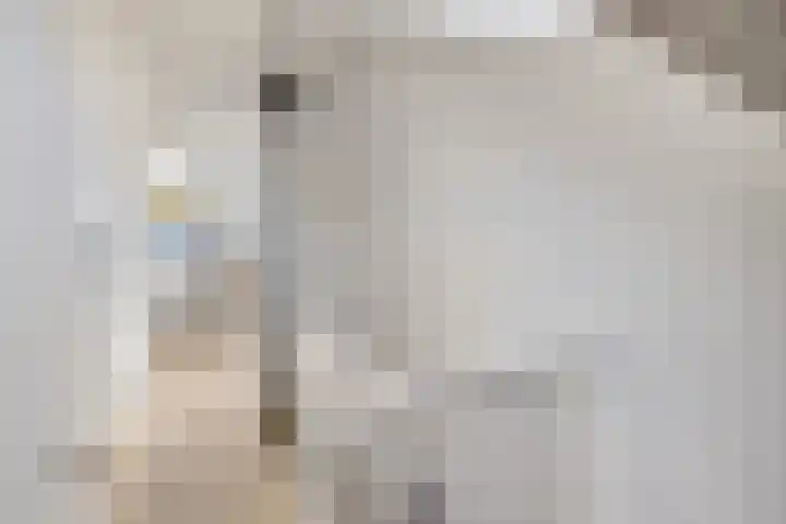 Jakob Grimmstraat 14 Utrecht thumbnail 42