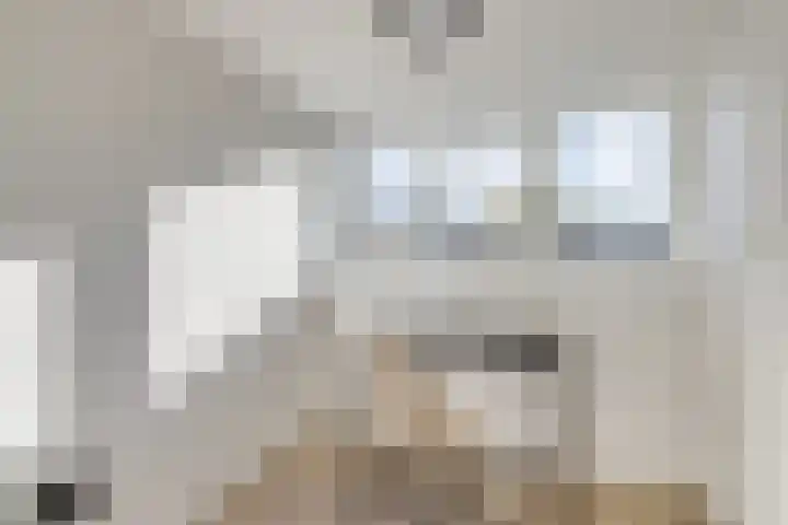 Jakob Grimmstraat 14 Utrecht thumbnail 44