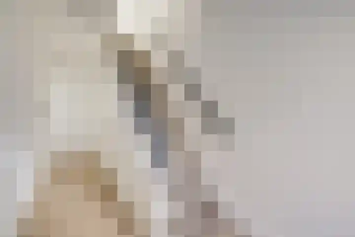 Jakob Grimmstraat 14 Utrecht thumbnail 8