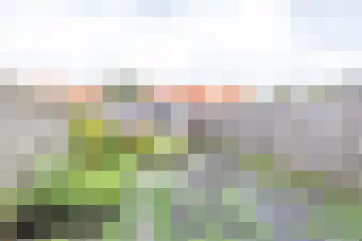 Jakob Israël de Haanstraat 3 Groningen thumbnail 31
