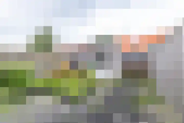 Jakob Israël de Haanstraat 3 Groningen thumbnail 32