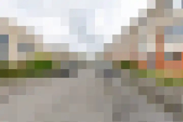 Jakob Israël de Haanstraat 3 Groningen thumbnail 9