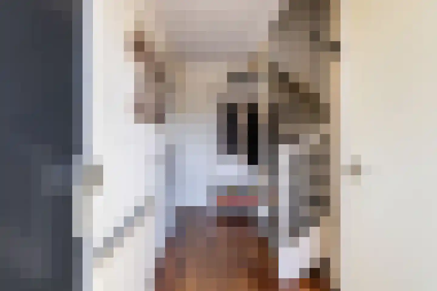 Jakob Israël de Haanstraat 46 Groningen thumbnail 13