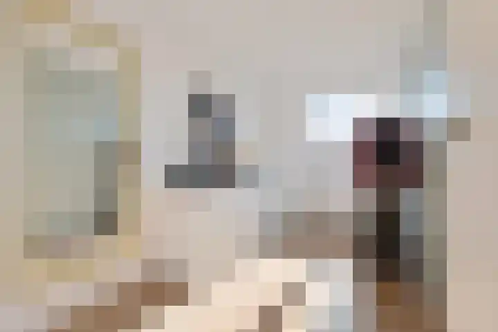 Jakob Israël de Haanstraat 61 Groningen thumbnail 33