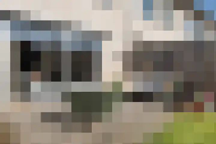 Jakob Israël de Haanstraat 61 Groningen thumbnail 44
