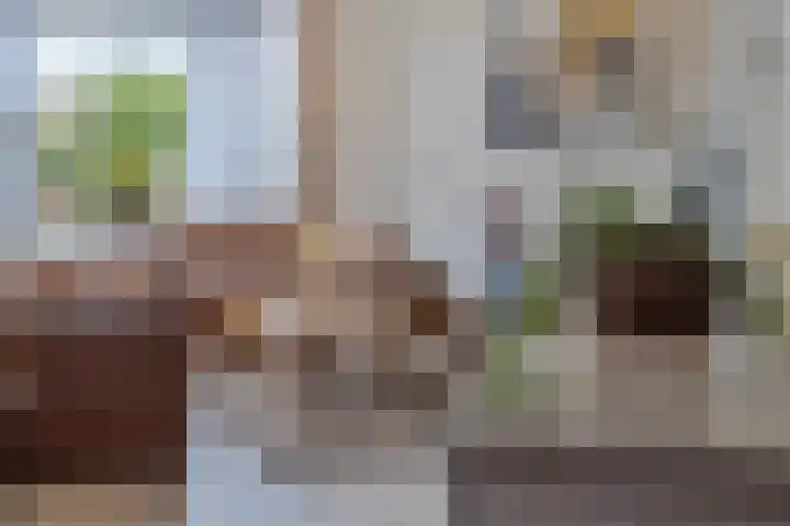 Jakobijnberg 11 Roosendaal thumbnail 10