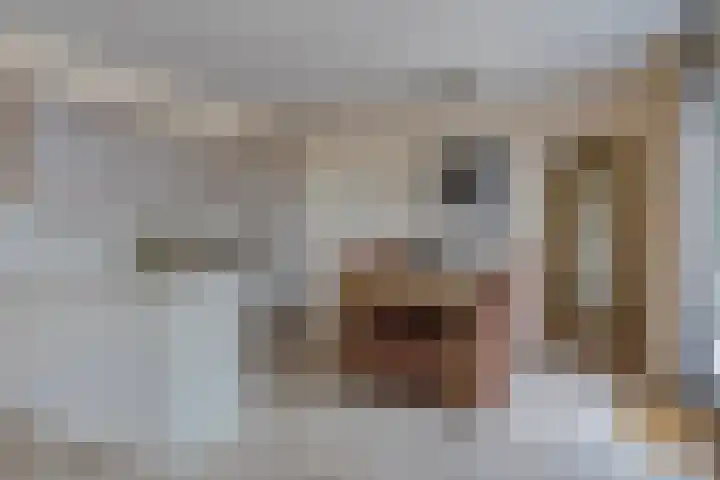 Jakobijnberg 11 Roosendaal thumbnail 13
