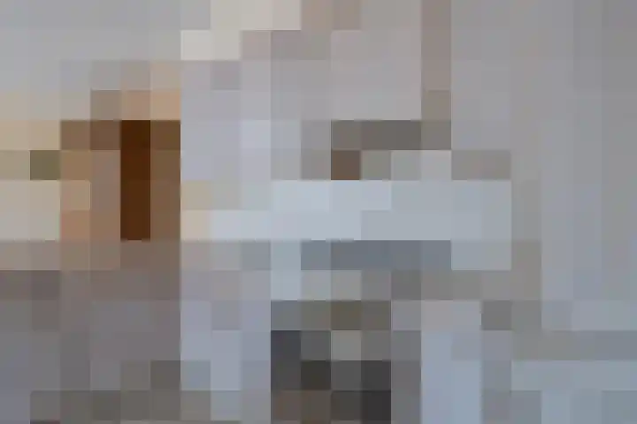 Jakobijnberg 11 Roosendaal thumbnail 15
