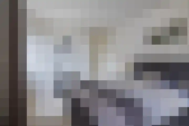 Jakobijnberg 11 Roosendaal thumbnail 22