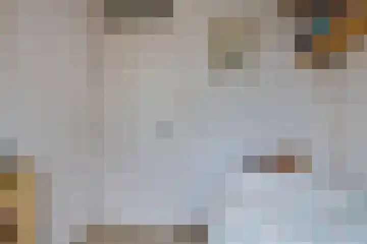 Jakobijnberg 11 Roosendaal thumbnail 31