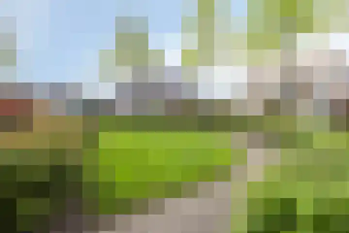 Jakobijnberg 11 Roosendaal thumbnail 39