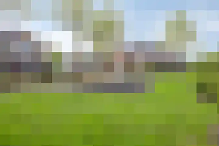 Jakobijnberg 11 Roosendaal thumbnail 40