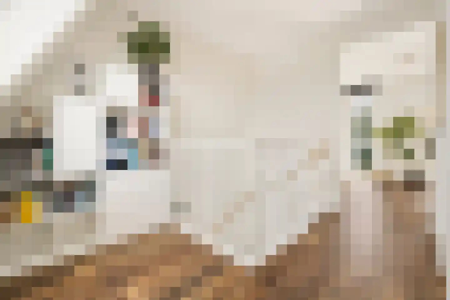 Jakop Slegthof 30 Weesp thumbnail 30