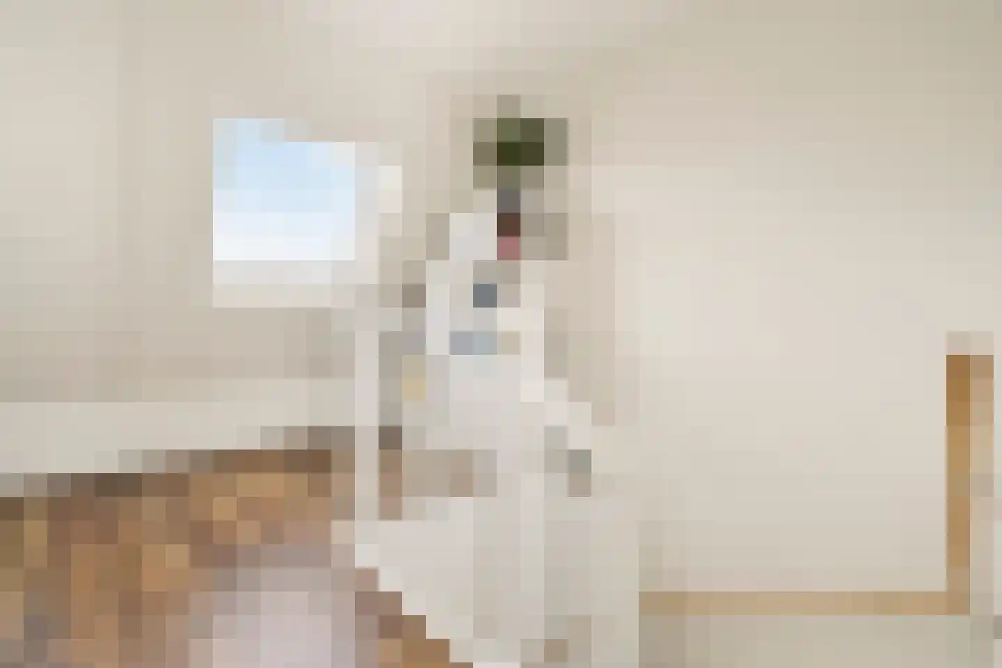 Jakop Slegthof 30 Weesp thumbnail 31