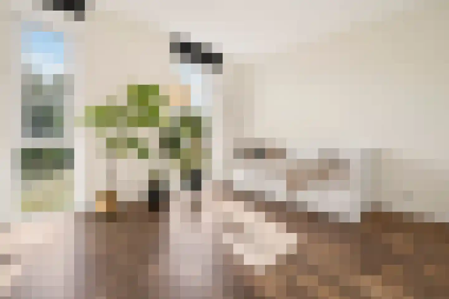 Jakop Slegthof 30 Weesp thumbnail 33