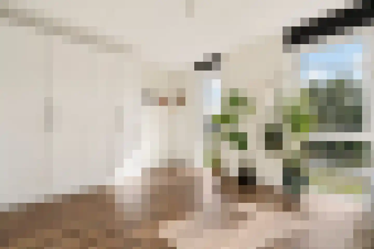 Jakop Slegthof 30 Weesp thumbnail 34