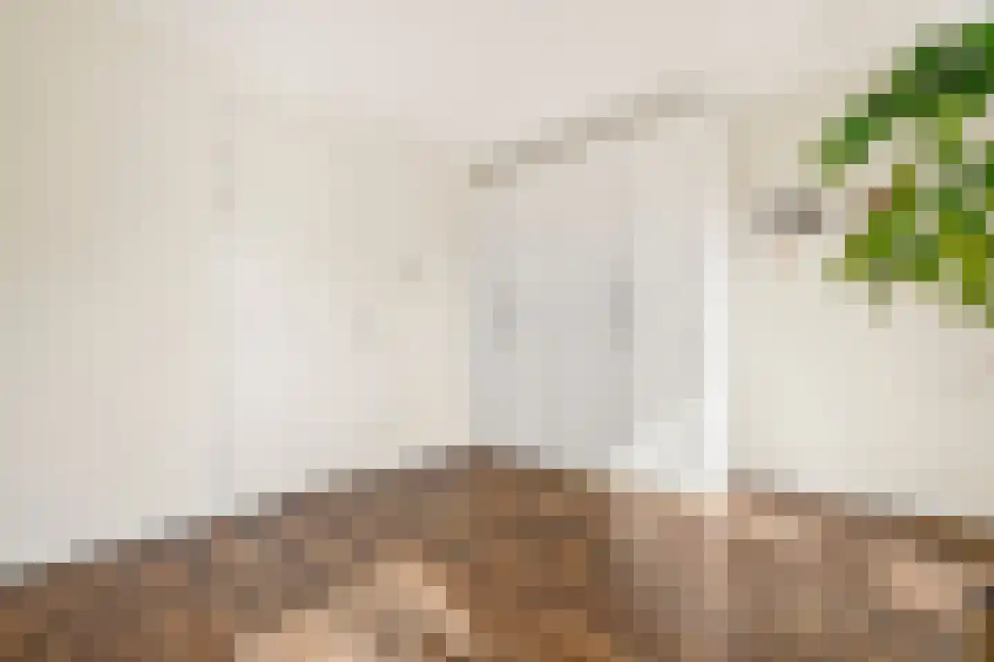 Jakop Slegthof 30 Weesp thumbnail 35