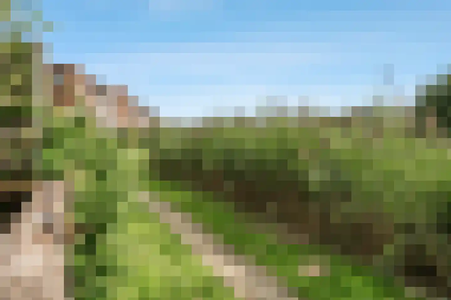 Jakop Slegthof 30 Weesp thumbnail 36