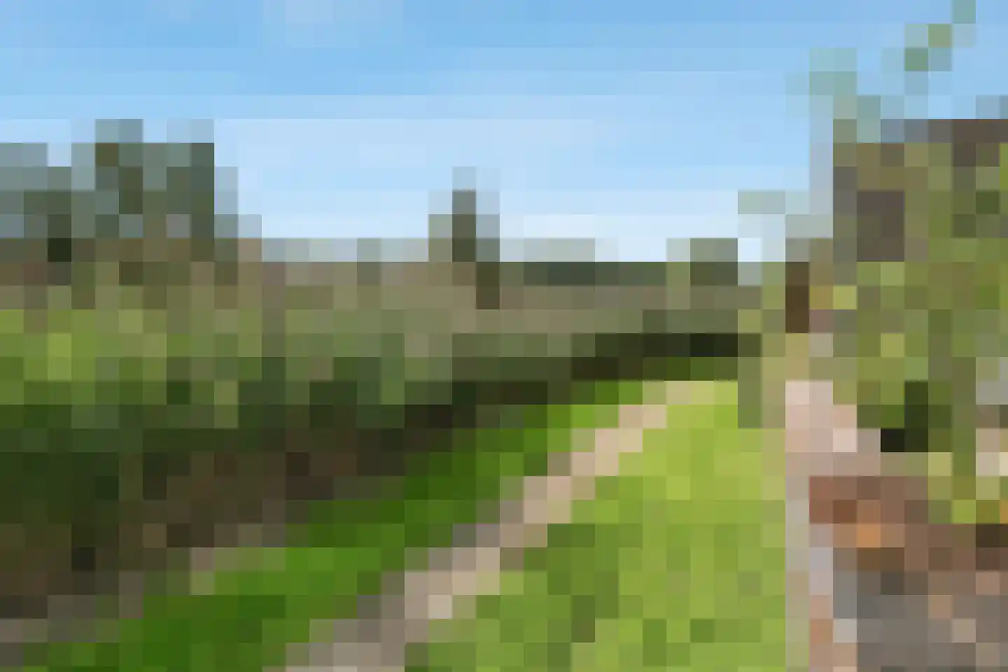 Jakop Slegthof 30 Weesp thumbnail 37