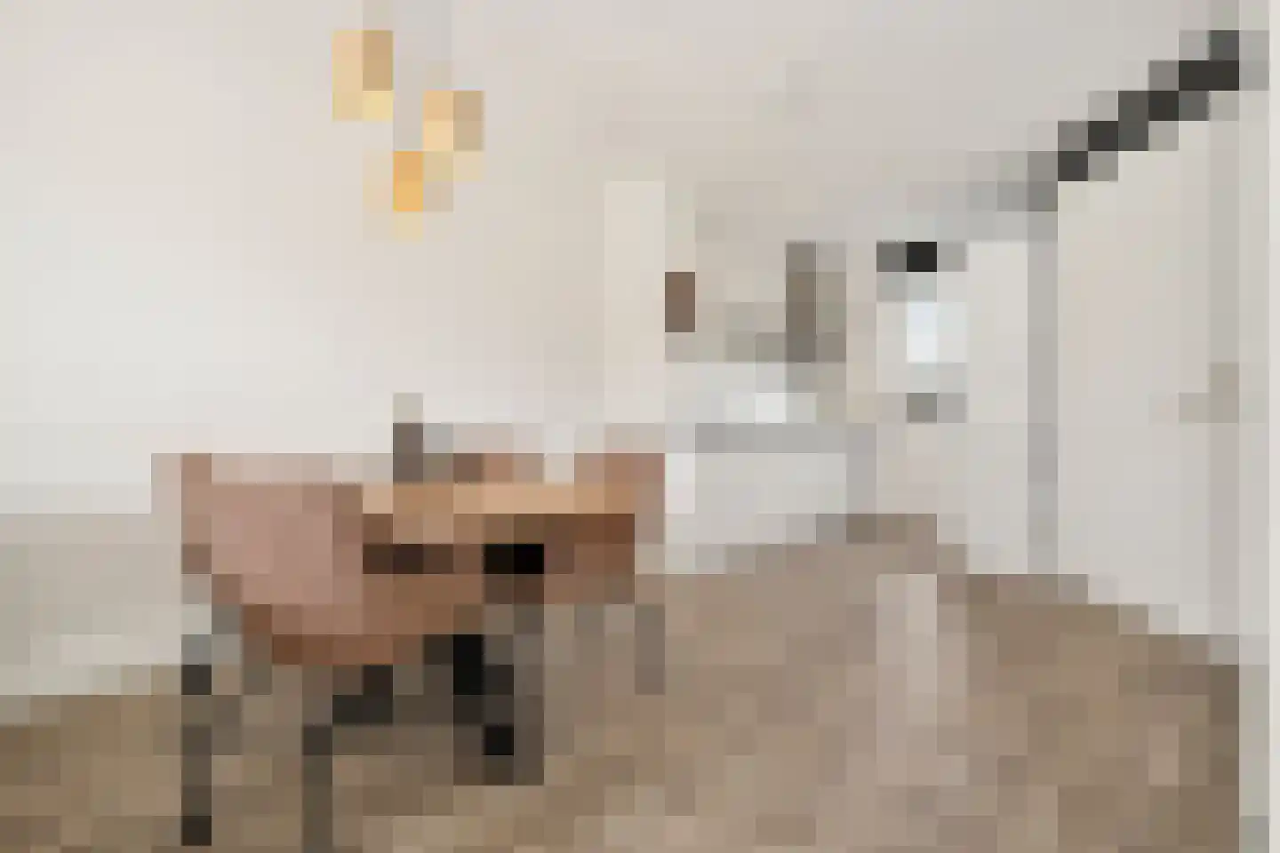 Jakop Slegthof 30 Weesp thumbnail 5