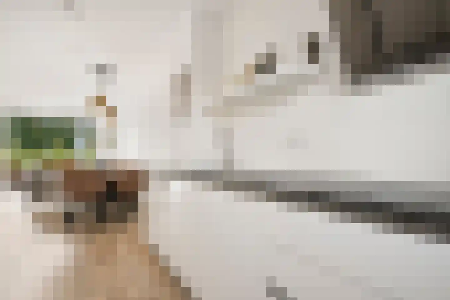 Jakop Slegthof 30 Weesp thumbnail 8