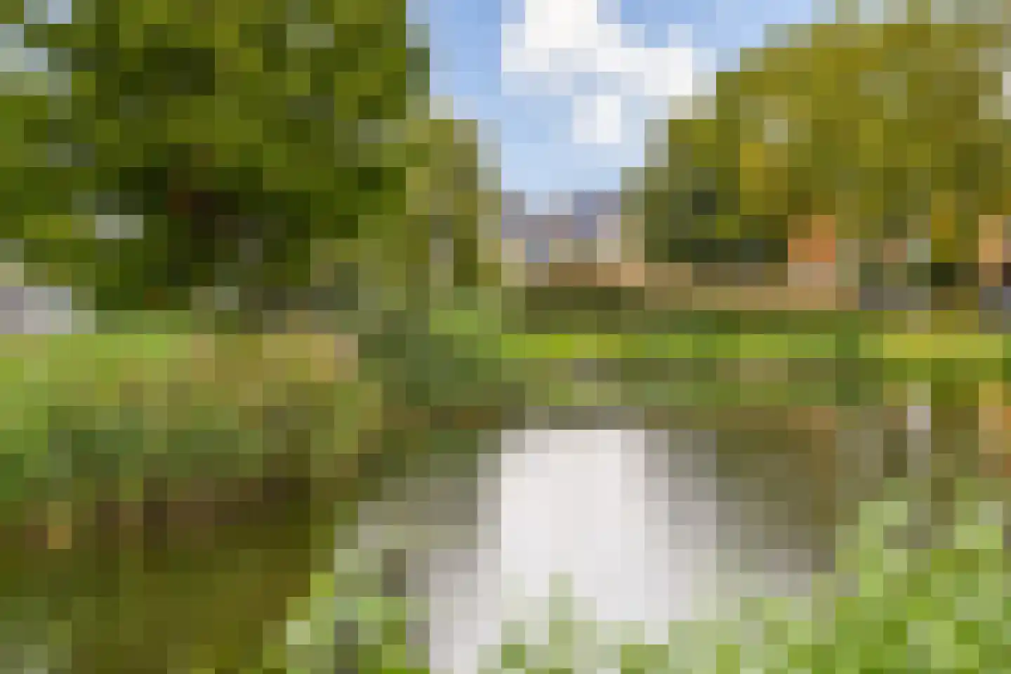 Jakop Slegthof 45 Weesp thumbnail 33