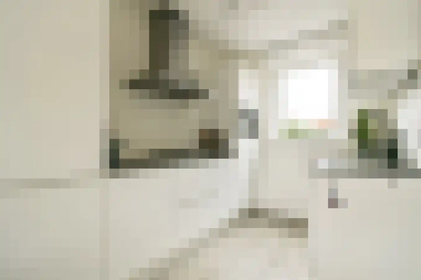 Jakop Slegthof 45 Weesp thumbnail 4