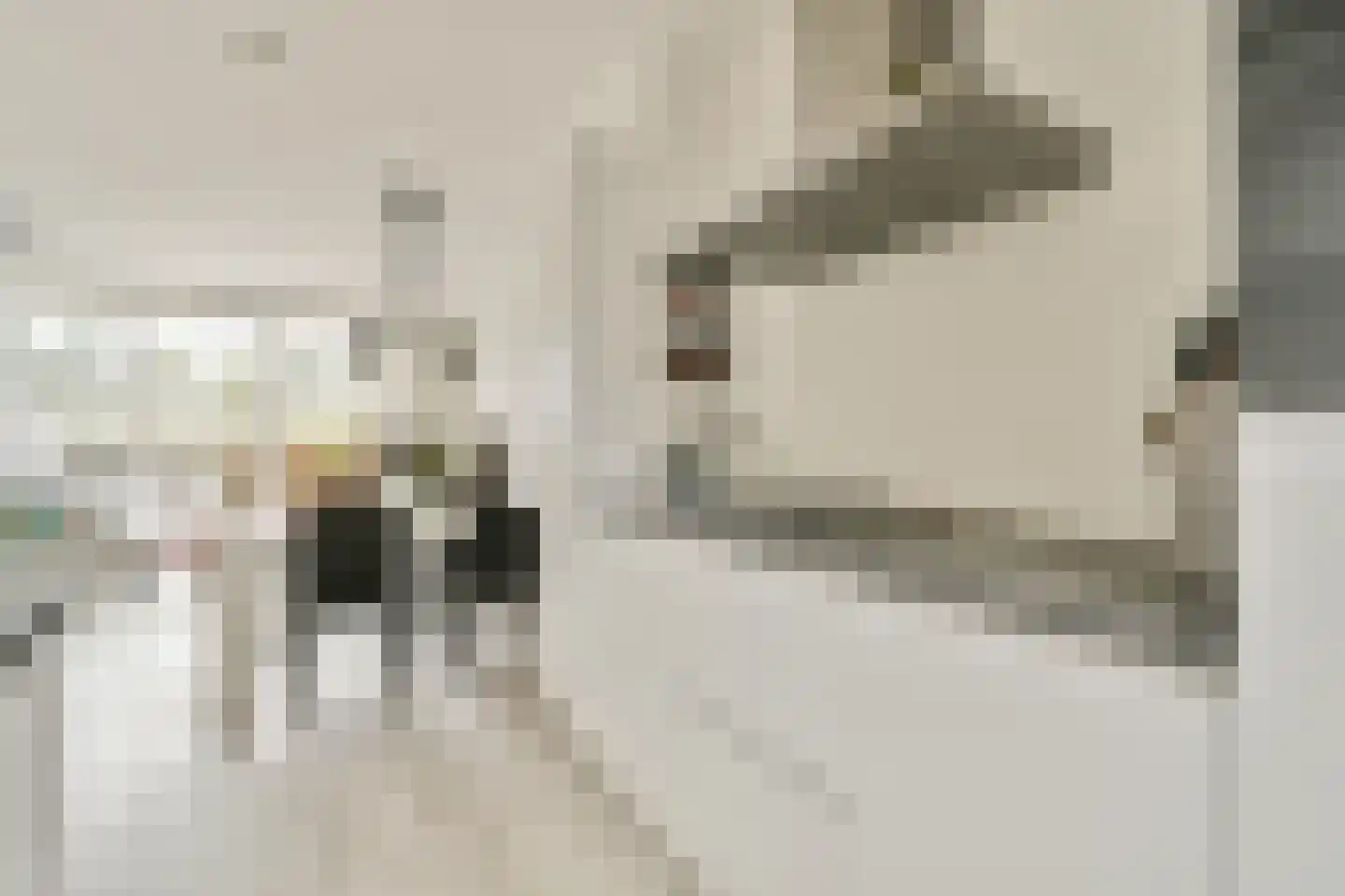 Jakop Slegthof 45 Weesp thumbnail 6