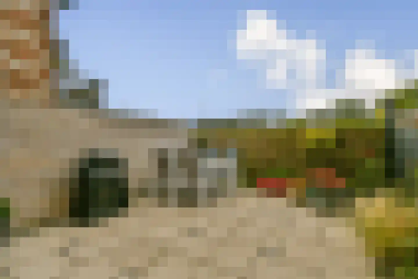 Jakop Slegthof 45 Weesp thumbnail 8