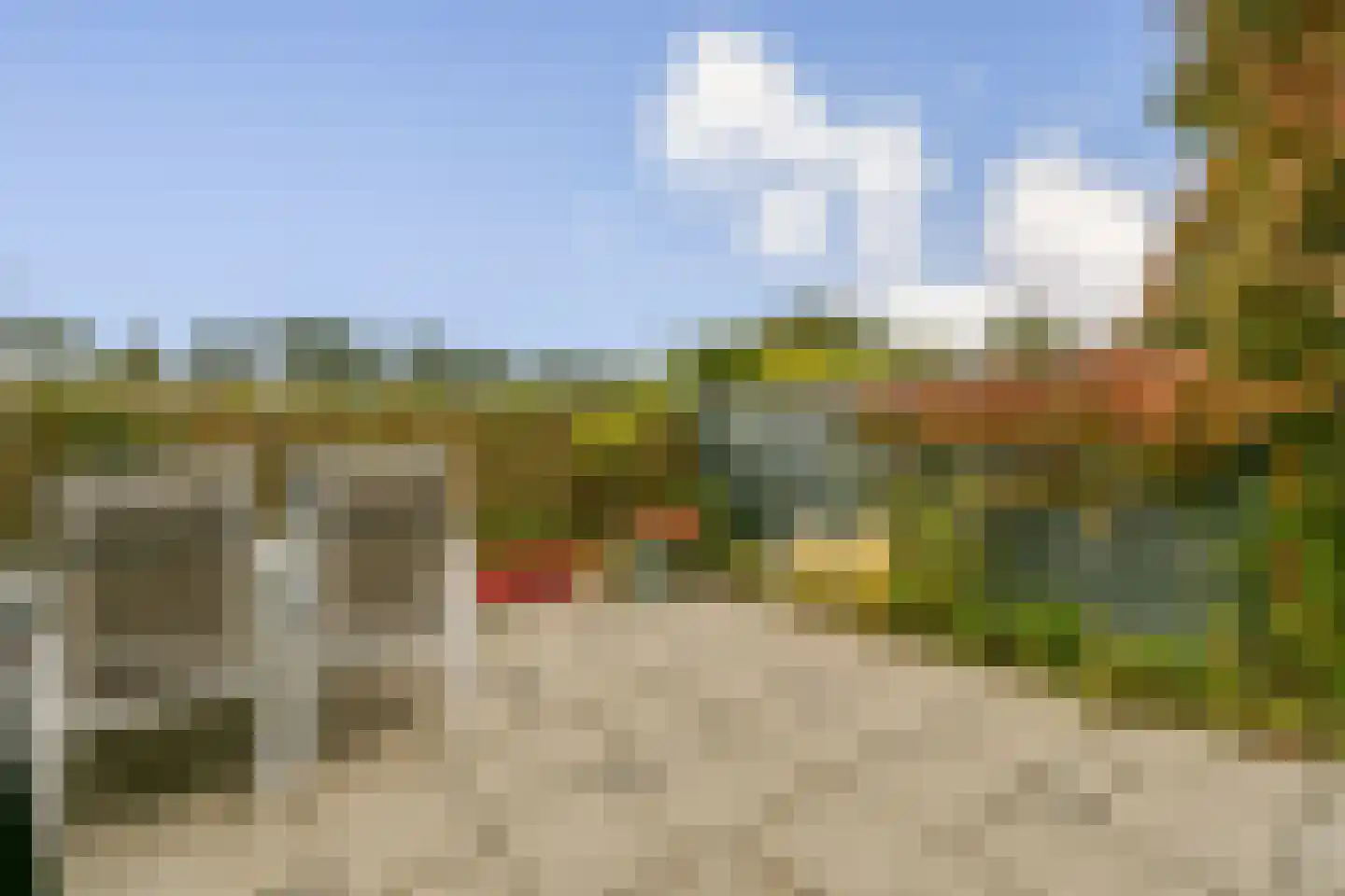 Jakop Slegthof 45 Weesp thumbnail 9