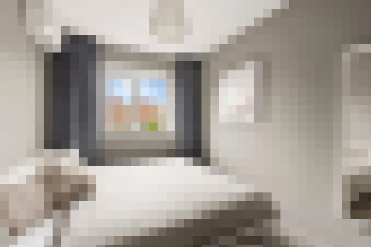 Jakop Slegthof 7 Weesp thumbnail 24