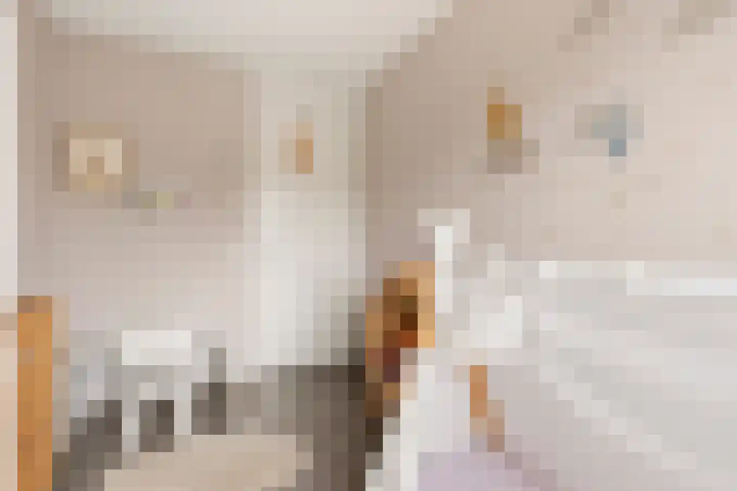 Jakop Slegthof 7 Weesp thumbnail 34