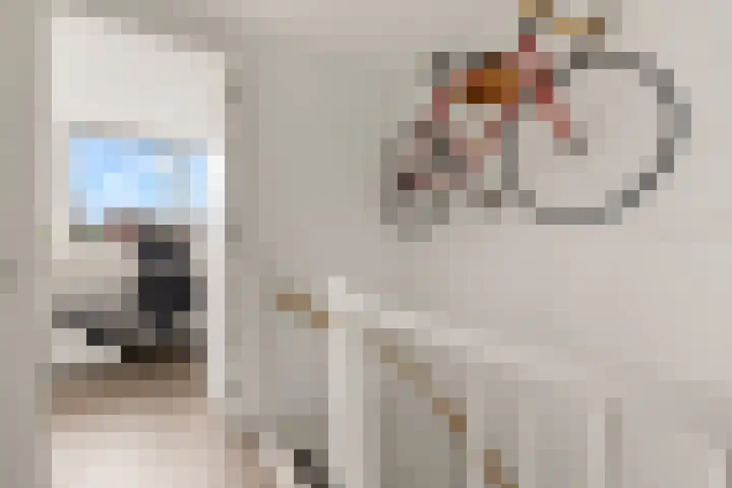 Jakop Slegthof 7 Weesp thumbnail 35