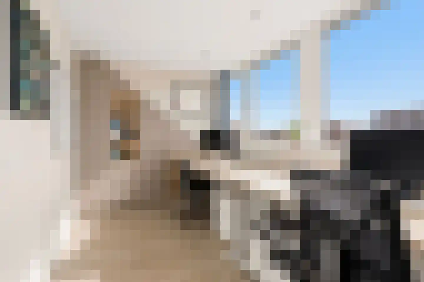 Jakop Slegthof 7 Weesp thumbnail 37