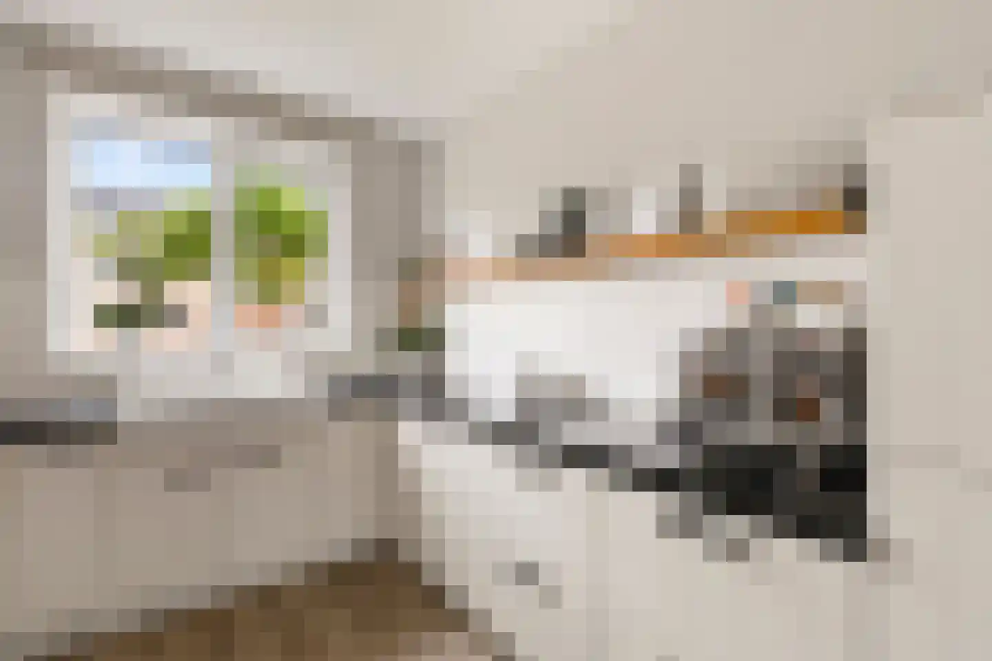 Jakop Slegthof 7 Weesp thumbnail 5