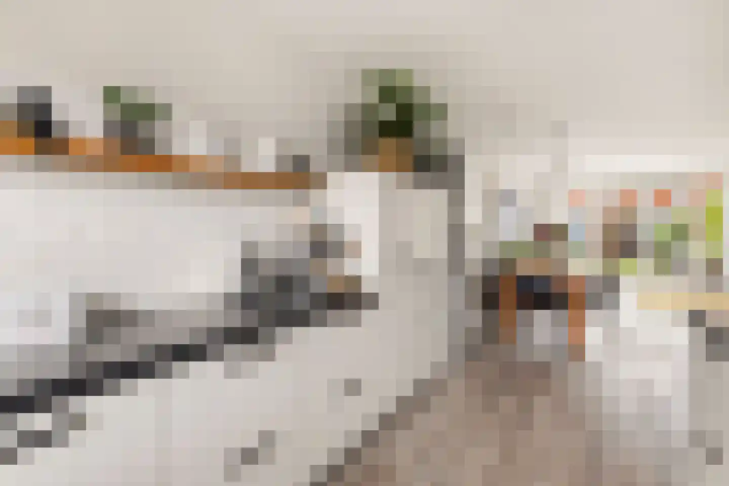 Jakop Slegthof 7 Weesp thumbnail 6
