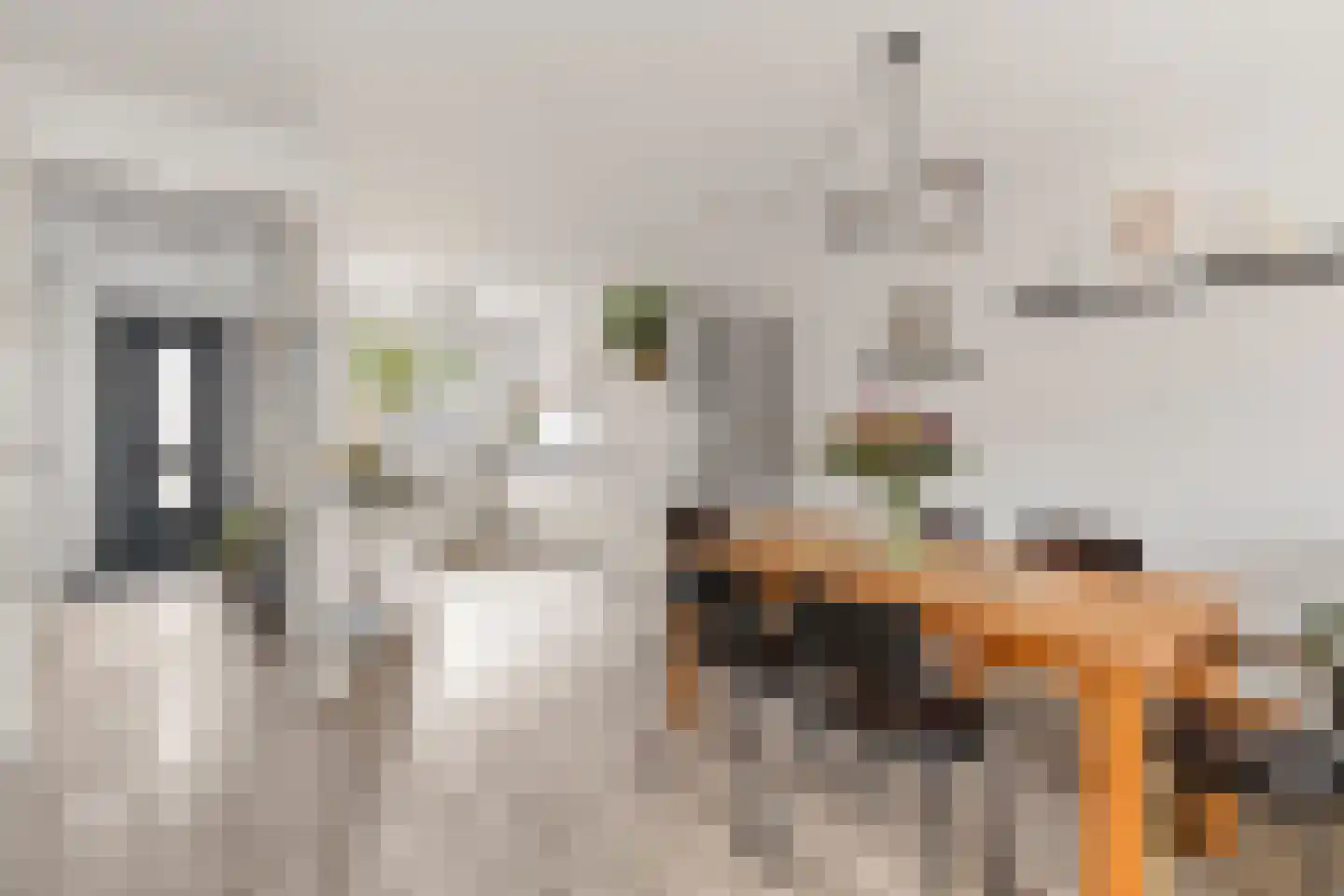 Jakop Slegthof 7 Weesp thumbnail 7