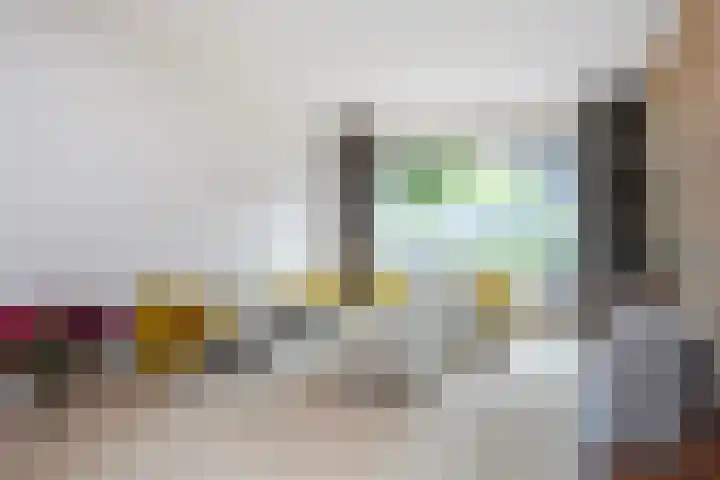 Jalinkhof 3 Dalfsen thumbnail 10