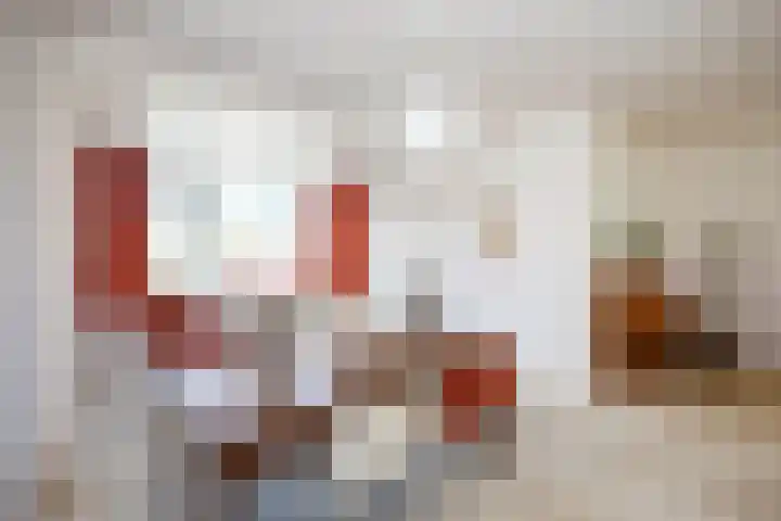 Jalinkhof 3 Dalfsen thumbnail 11