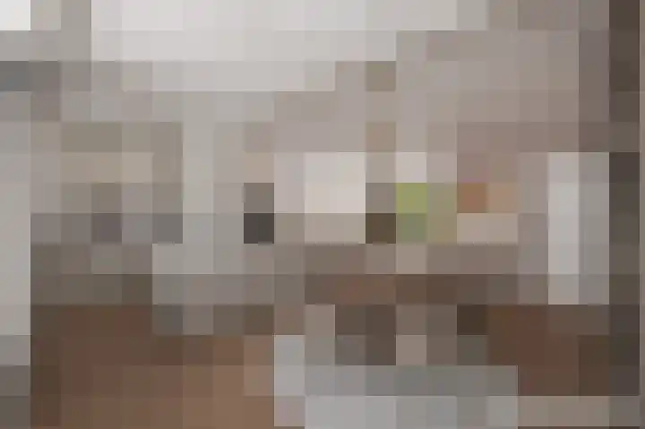 Jalinkhof 3 Dalfsen thumbnail 12