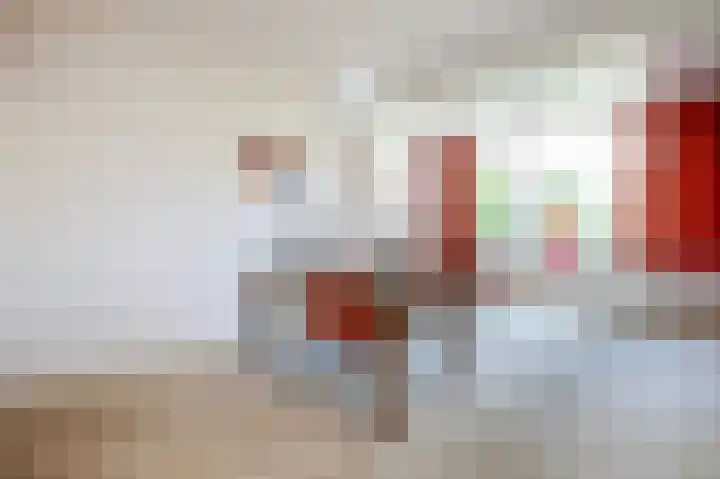 Jalinkhof 3 Dalfsen thumbnail 13