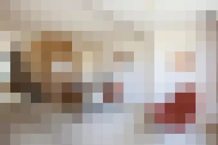 Jalinkhof 3 Dalfsen thumbnail 14
